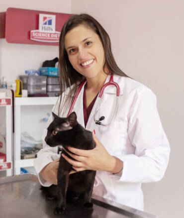 Tips para el cuidado de los gatos