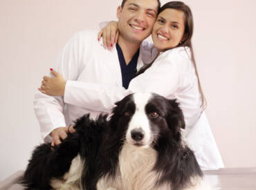 Comportamientos según las razas de perros