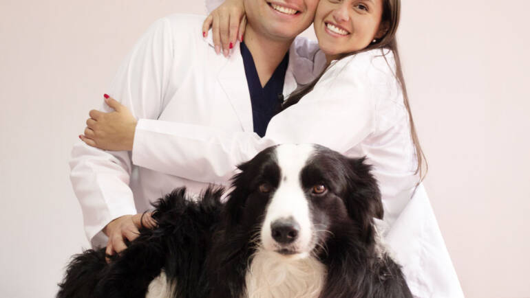 Comportamientos según las razas de perros